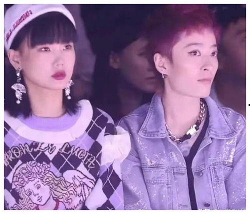 网红吃瓜爆料小视频全集,小视频全集揭秘娱乐圈幕后真相